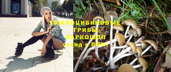 jwh Абинск