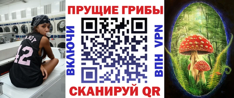 MEGA зеркало Ак-Довурак Псилоцибиновые грибы мухоморы